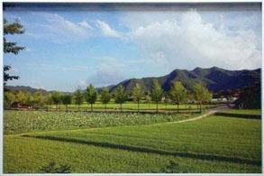 Impression photos sur plexi alu et toile